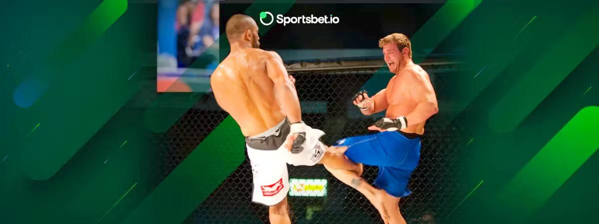 best ufc heavyweights