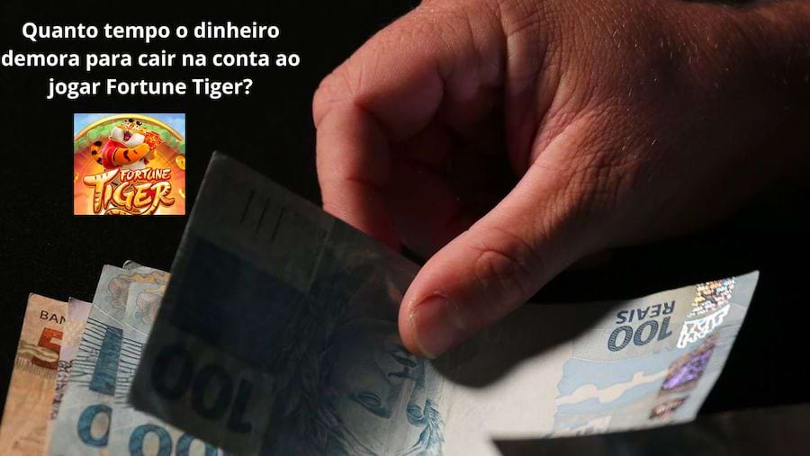 casa da aposta. com