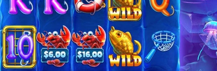 sapphirebet brasil